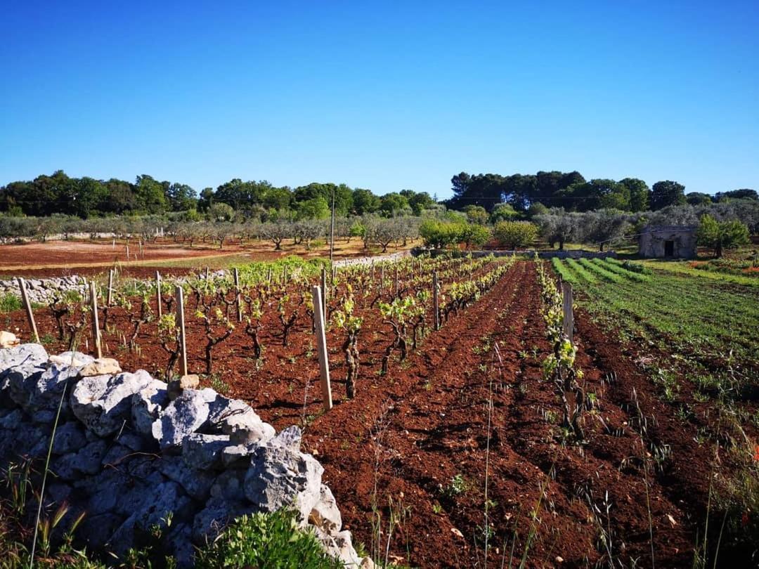 Dimora Verde B Con Trullo Masseria Poesia Cisternino Cameră foto
